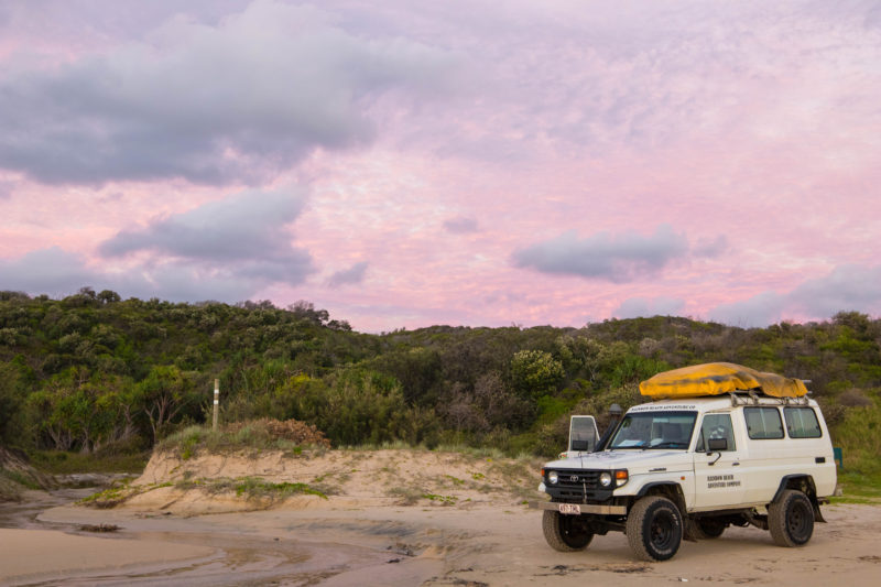 Two-Night Fraser Island Tour With Dingo's - Travel and Food Blog