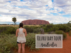 Uluru/Ayers Rock Day Tour