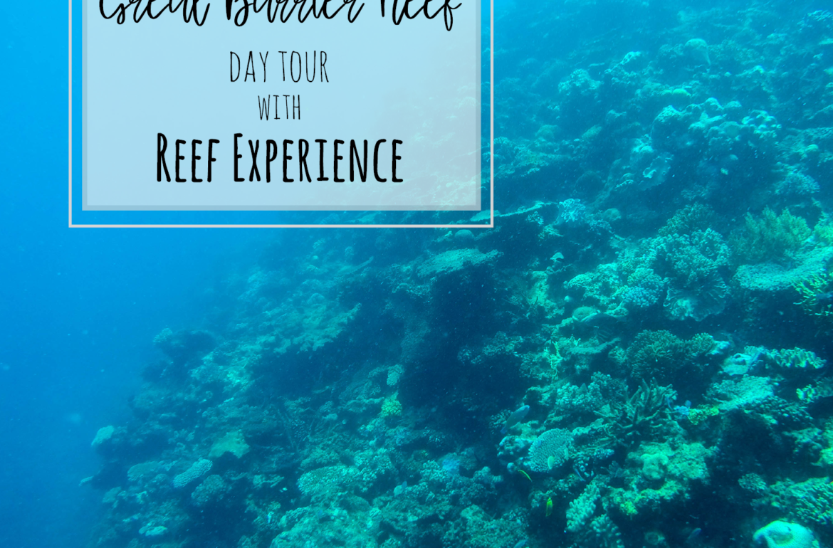 Great Barrier Reef experience