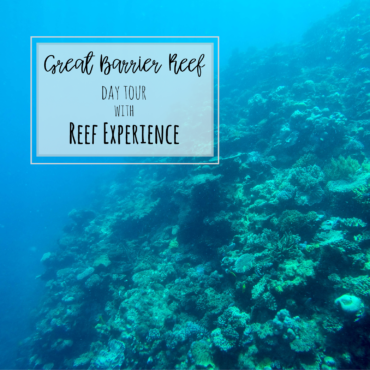 Great Barrier Reef experience